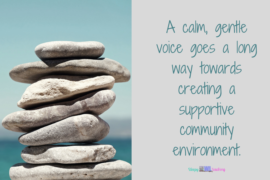 a carefully balanced pile of gray beach rocks against a blue background with the text "a calm, gentle voice goes a long way towards creating a supportive community environment".